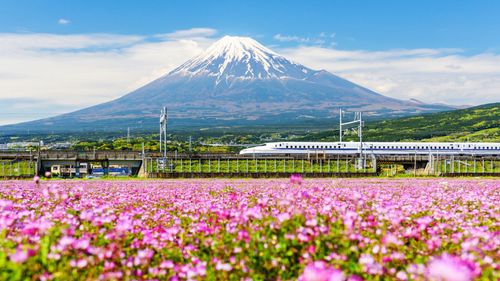 Beyond The Touristy Spots: Hidden Gems To Visit In Japan
